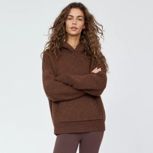 Aritzia Harbour Hoodie